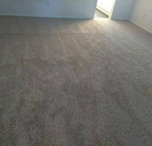 Speckled Grey Carpet