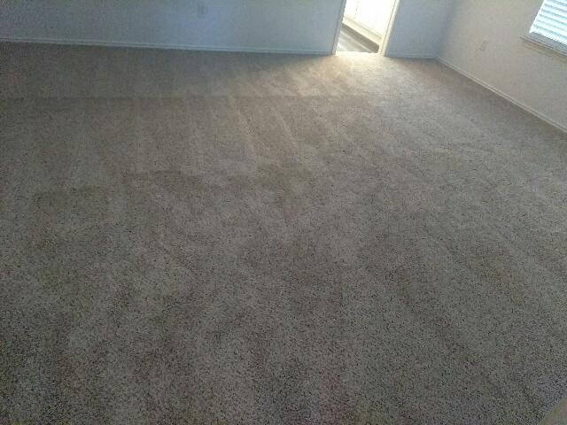 speckled grey carpet